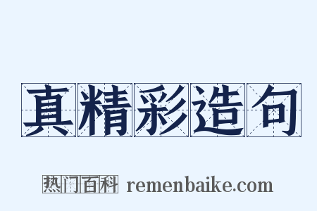 真精彩造句是什么意思的图片